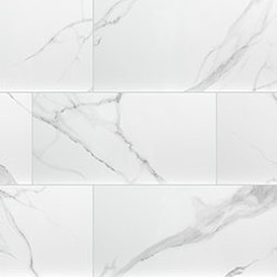 MSI Dymo Statuary White Glossy NDYMSTAWHI1224G-N